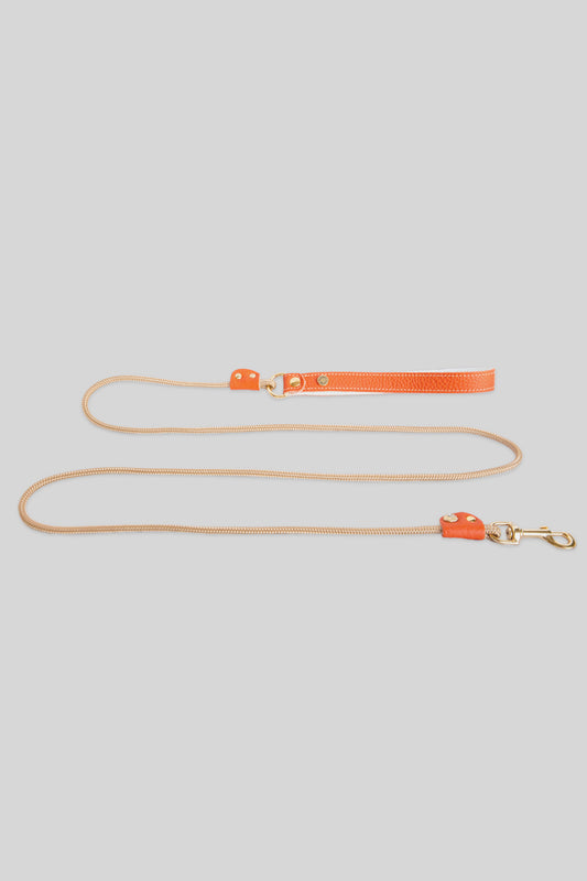 Diamante Leather and Rope Leash - Coral