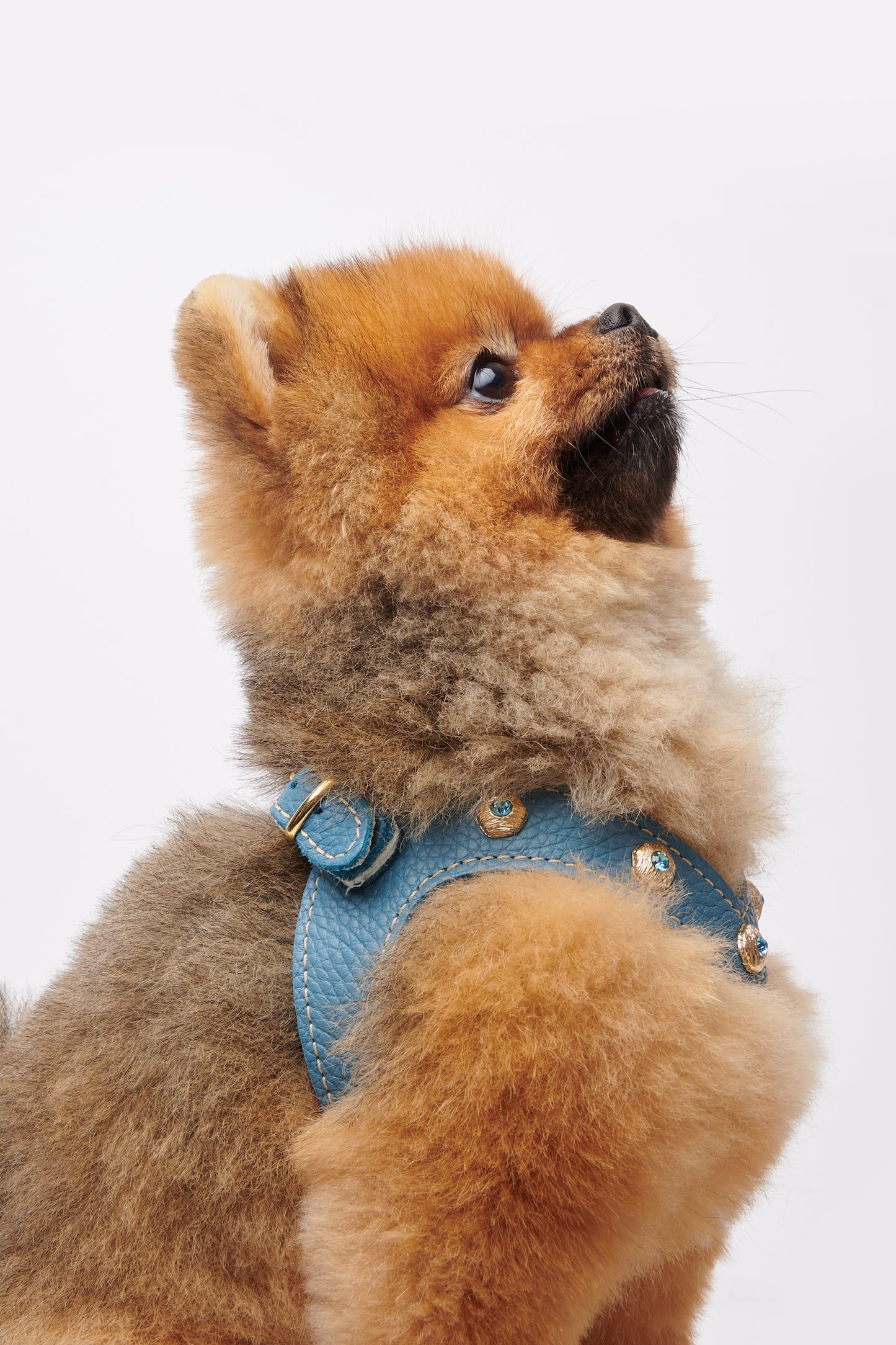 Diamante Jeans Harness