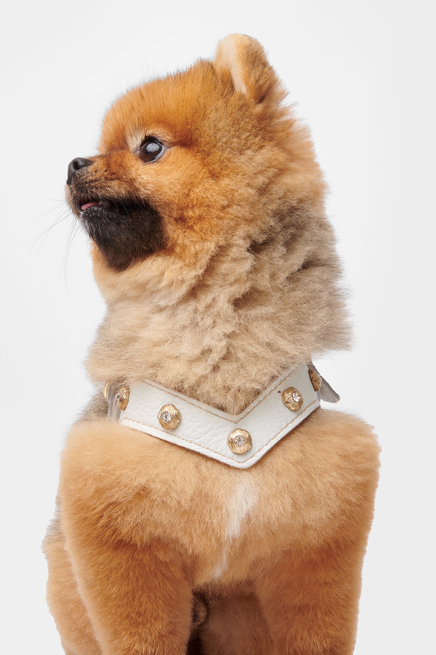 Diamante White Harness