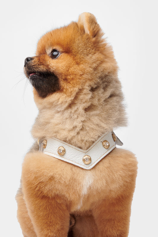 Diamante White Harness