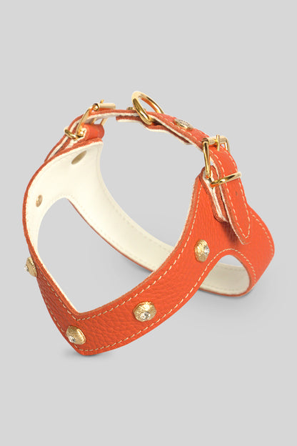 Diamante Coral  Set