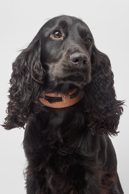 Tan Leather Collar