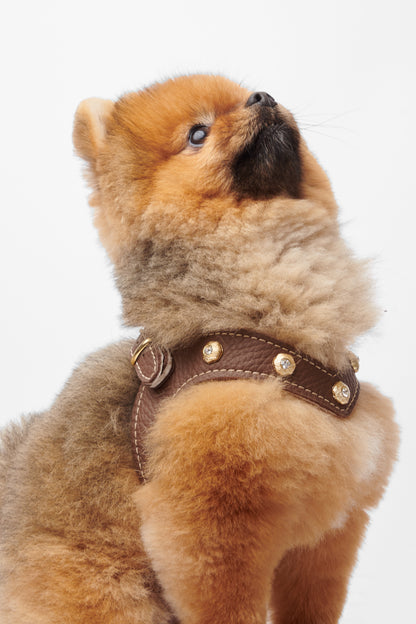 Diamante Brown Harness