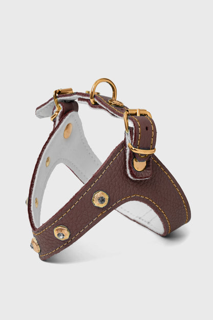 Diamante Brown Harness