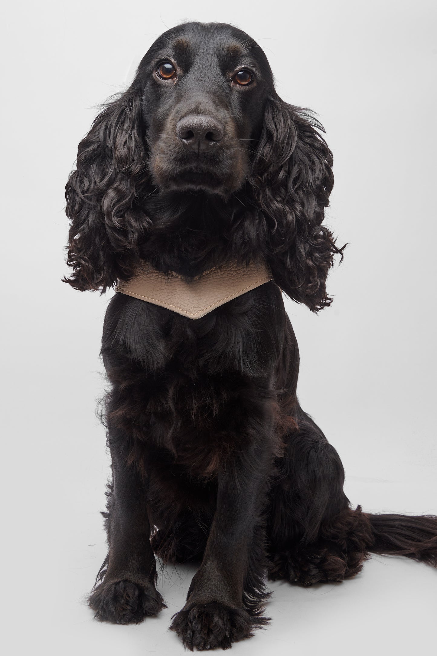 Eleganza Beige Harness