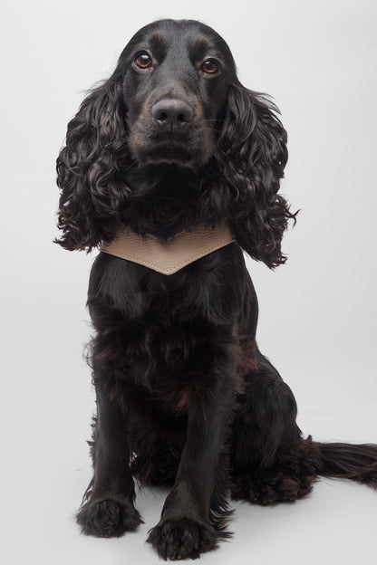 Eleganza Beige Harness