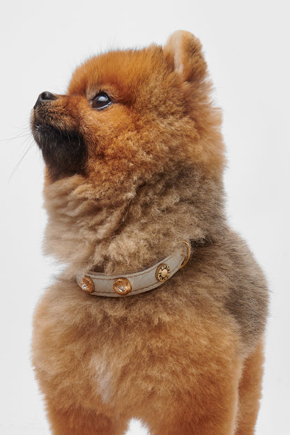 Diamante Collar