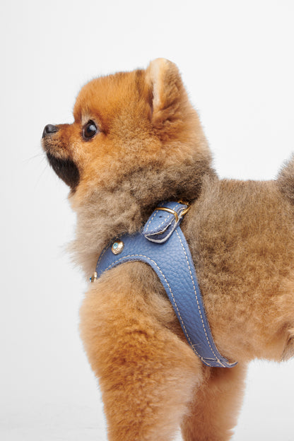 Diamante Blue Harness